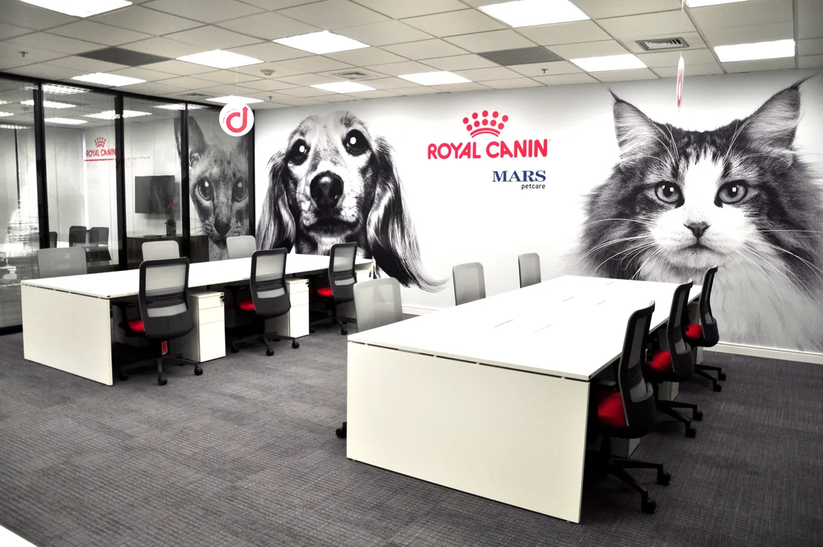 Escritório corporativo da Royal Canin entregue pela Agyle, com mural gráfico da marca em preto e branco e estações de trabalho